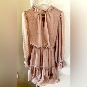 COPY - Champaign and Strawberry Dress